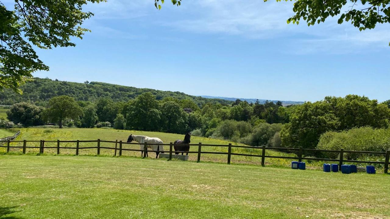 Beautiful Orchid Lodge, Finlake Resort & Spa In Devon Chudleigh Exterior foto